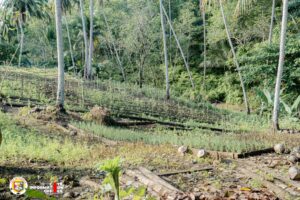 KAGAMITAN PANSAKA AT TINDAHAN NG GULAY AT PRUTAS, HANDOG NG LGU SA MALIGUE WOMEN FARMERS ASSOCIATION