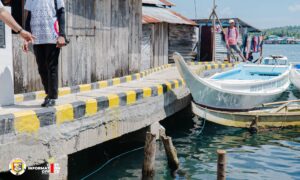 CONCRETE FOOTBRIDGE IN KAUMPURNAH ZONE III, COMPLETED