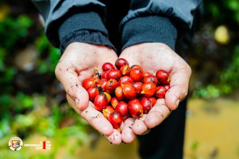 ISABELA CITY YOUTH EXPERIENCE COFFEE JOURNEY THROUGH ‘KAPESABELA: FROM FARM TO CUP’